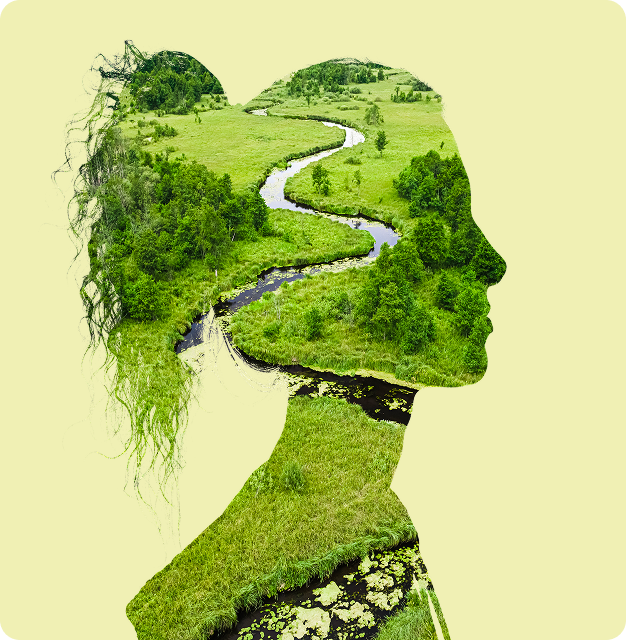 Conseils est stratégies