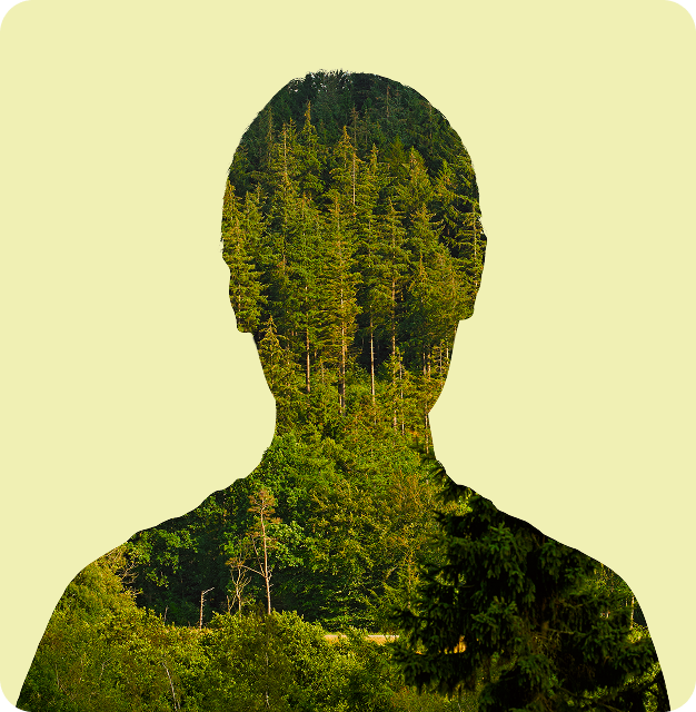 Formations spécialisées